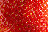 REAL FRUIT POWDERS