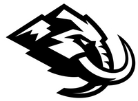 Partner logo 6